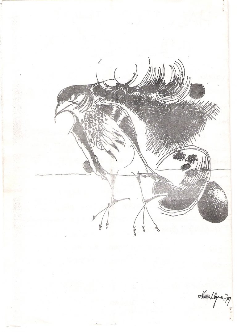 1980Lomulehti1Sivu12